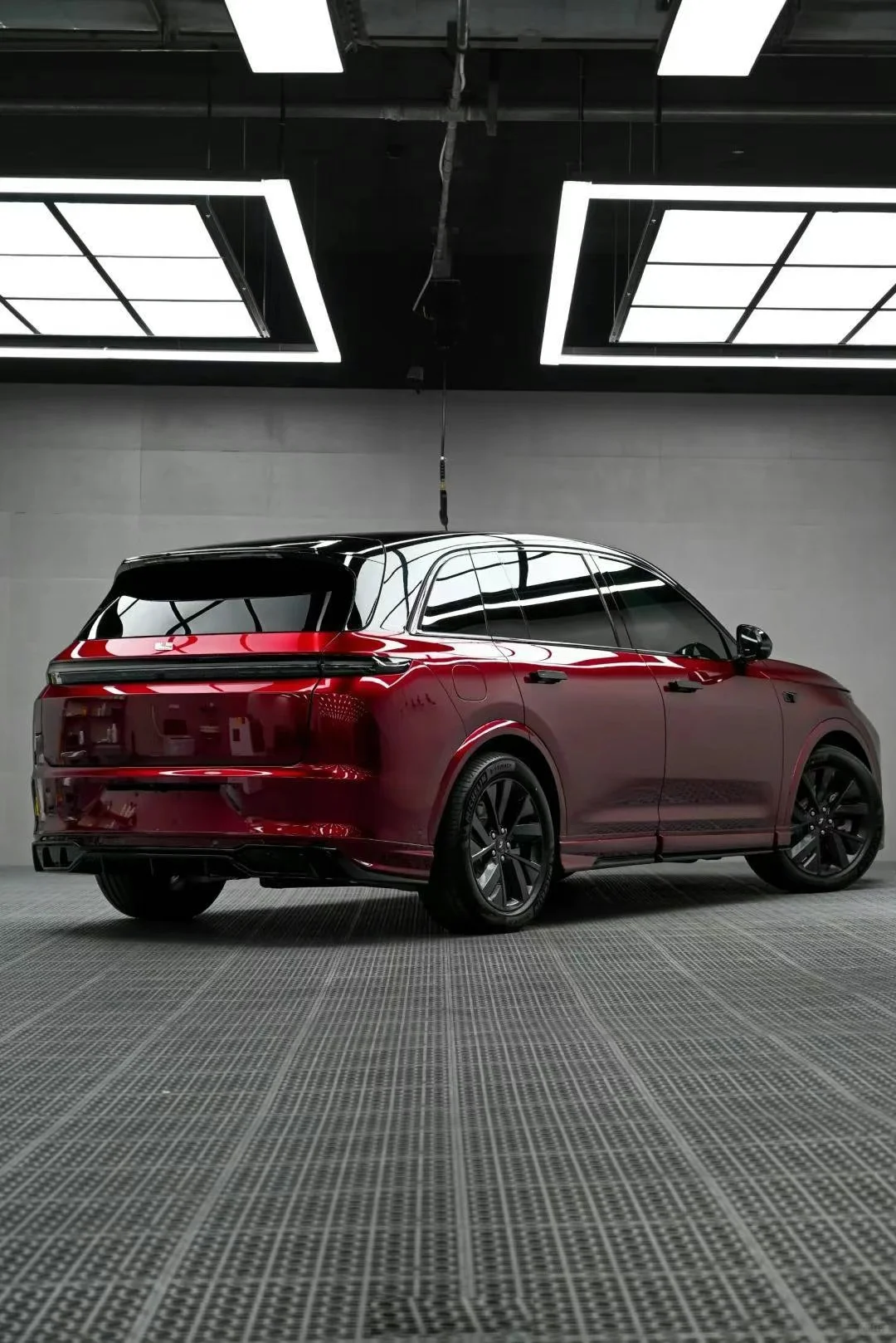 liquid metallic dracaena red color ppf