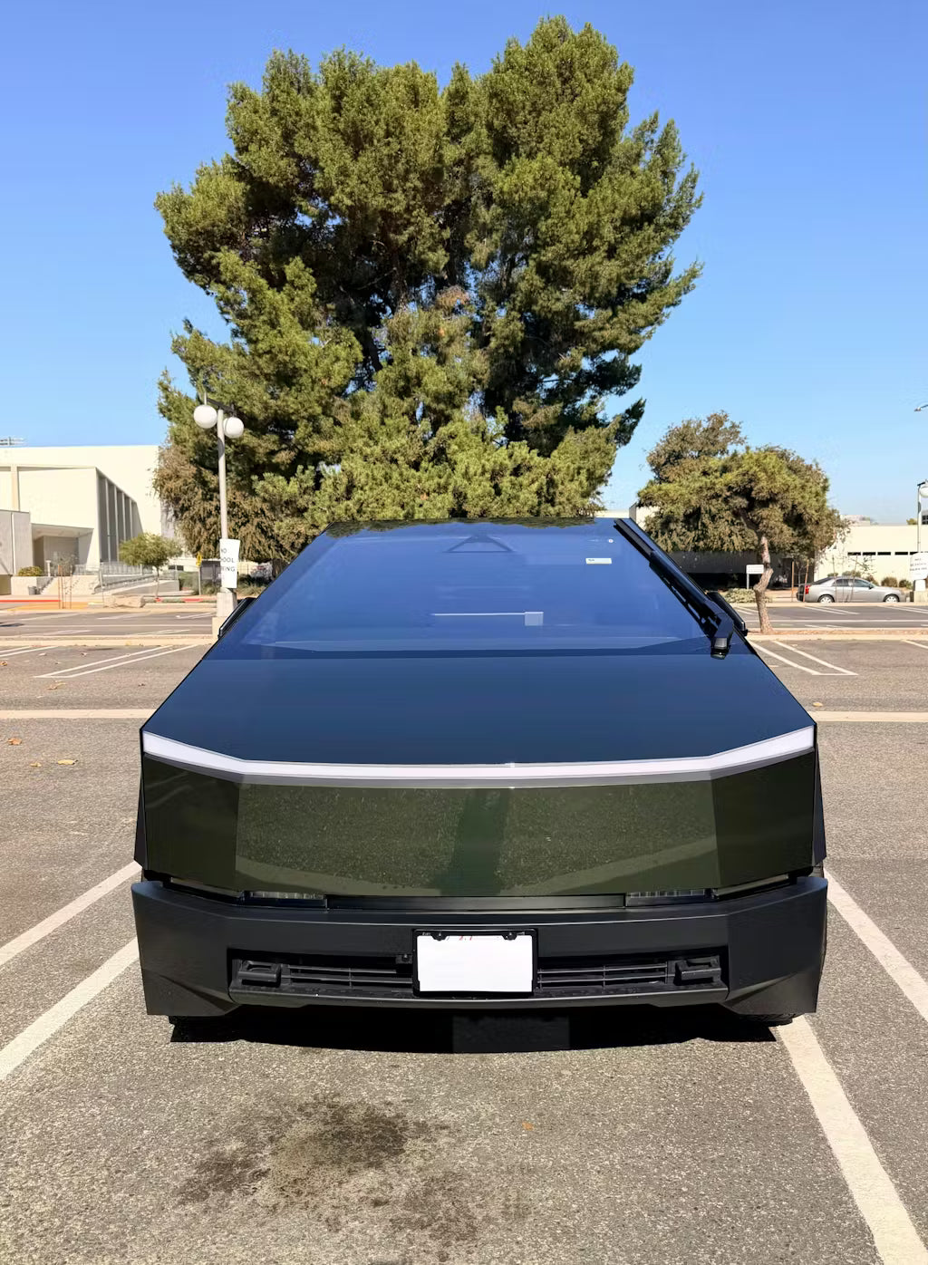 Oak Green Color PPF