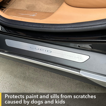 paint protection film door entry special skills