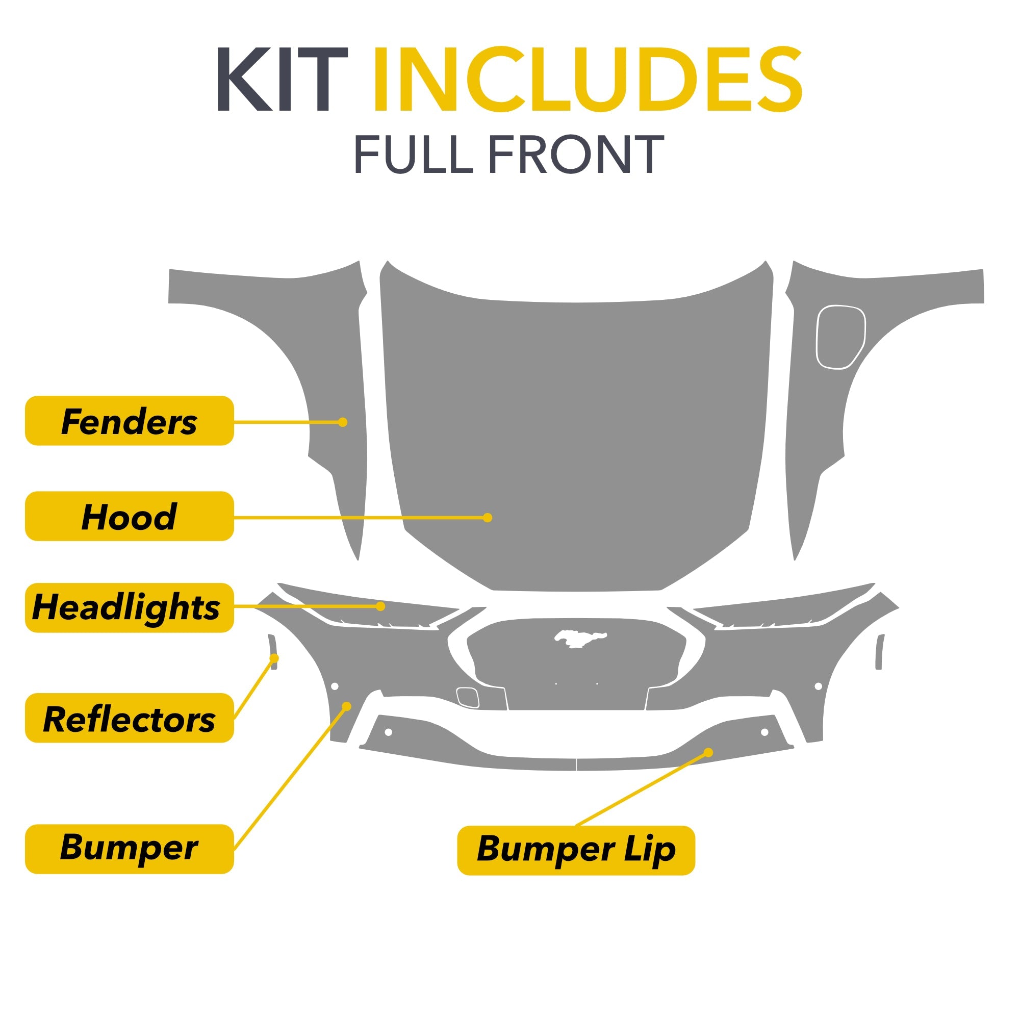 paint protection film ev accessories