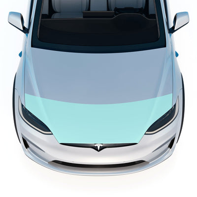 tesla model paint protection film x’s