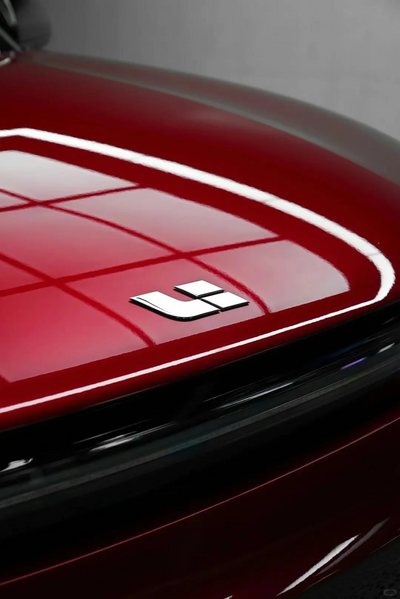 liquid metallic dracaena red color ppf