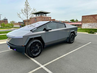 magic flame splendid gray