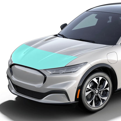 paint protection film ev accessories