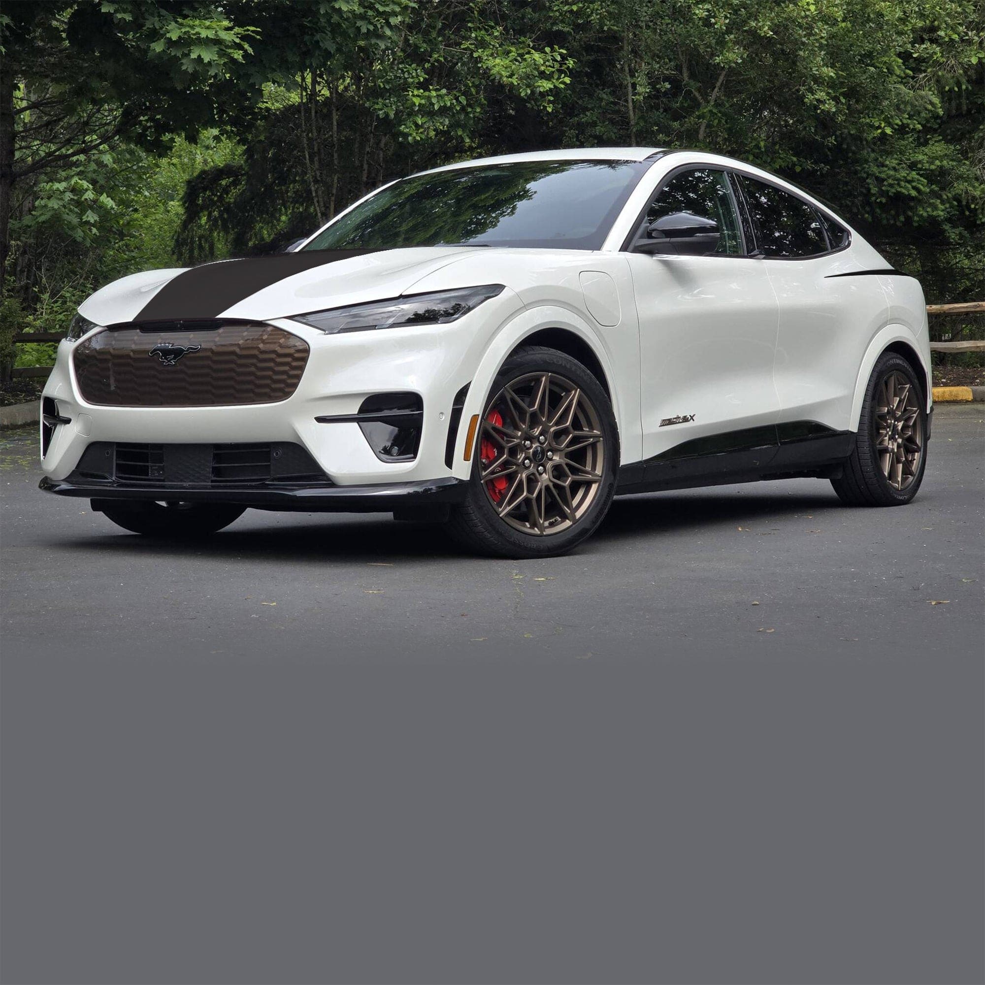 Red Tint Vinyl Tail Light Overlays For 2021-2025 Ford Mustang Mach-E – Deliciousticker