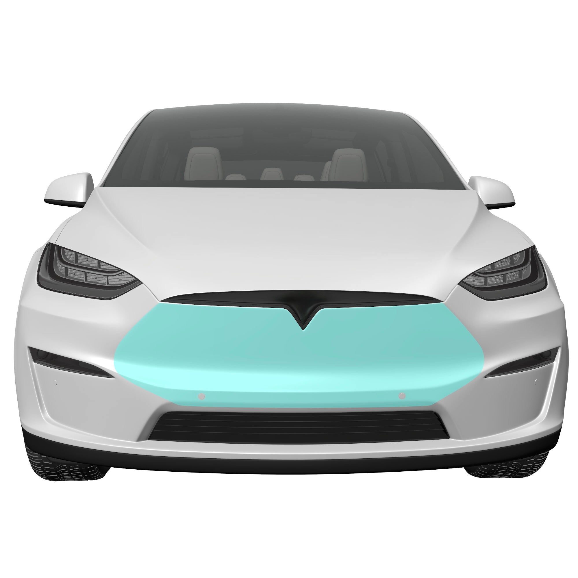 Tesla model deals x mini